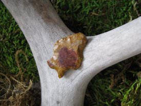 Projectile Point