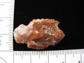 Projectile Point Back
