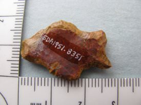 Projectile Point Back