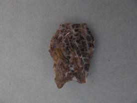 Duncan Projectile Point