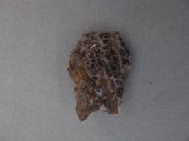 Projectile Point                        