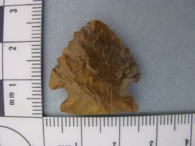 Projectile Point