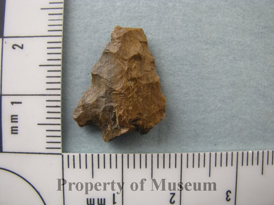 projectile point projectile point