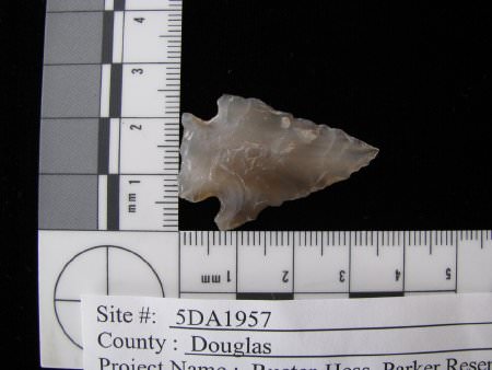 Projectile Point