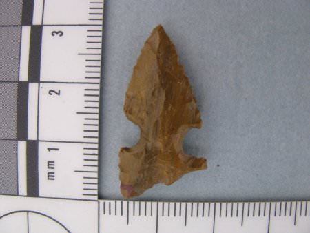 Projectile Point