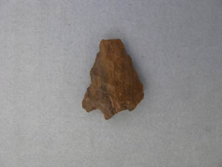 Projectile Point