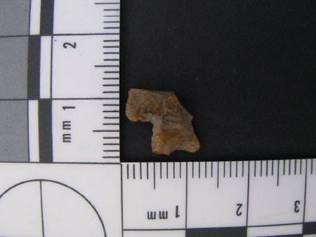 Projectile Point Fragment