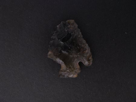 Projectile Point                        