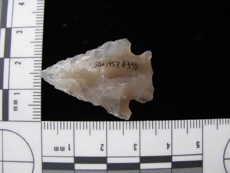 Projectile Point Back