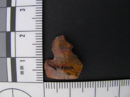 Projectile Point ID