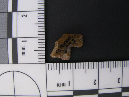 Projectile Point ID