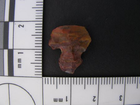 Projectile Point