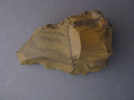 Petrified Wood Side Scraper