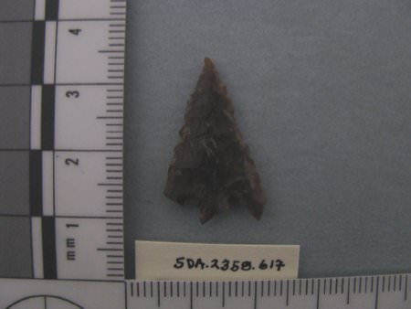 Projectile Point                        