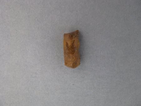 Prehistoric Drill