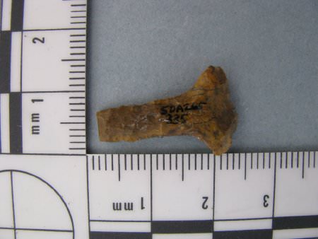 Drill Fragment ID