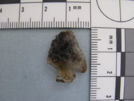 Projectile Point