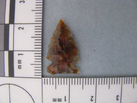Projectile Point