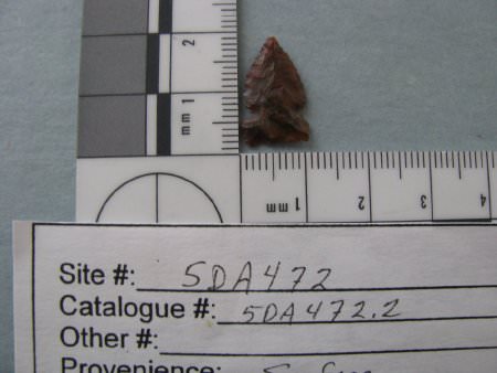Projectile point                        