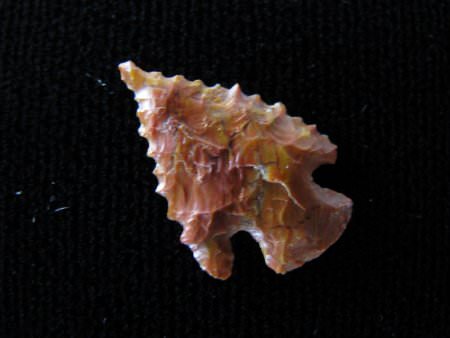 Projectile Point                        