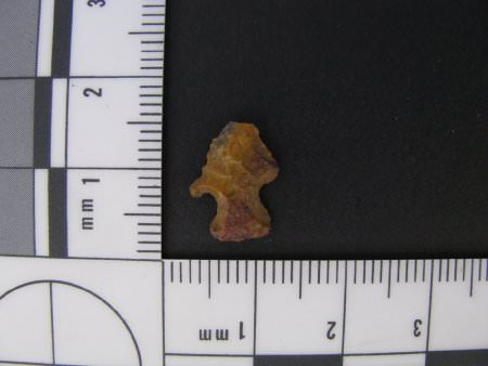 Projectile Point