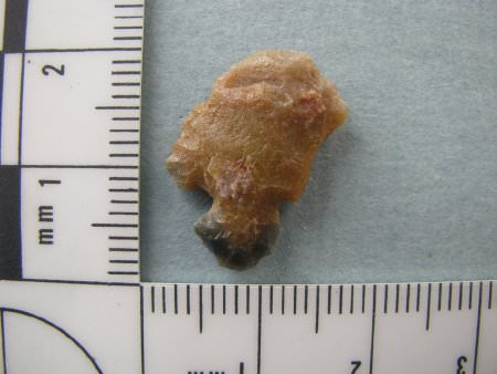 Projectile Point