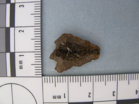 Projectile Point ID