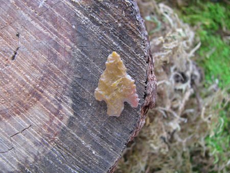 Projectile Point