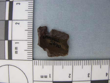 Projectile Point ID