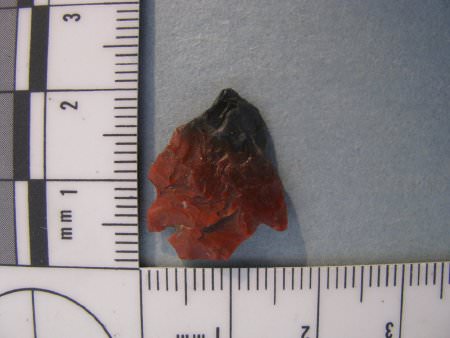 Projectile Point