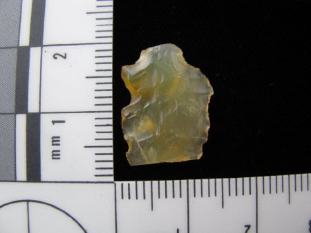 Projectile Point