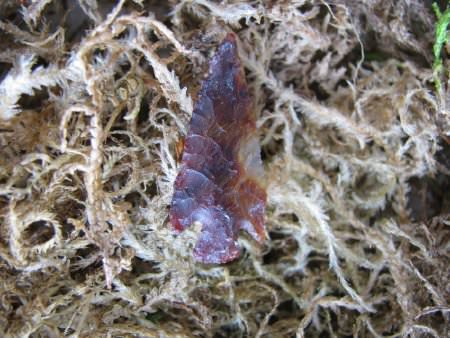 Projectile Point