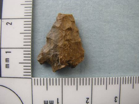 Projectile Point