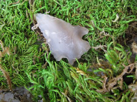 Projectile Point
