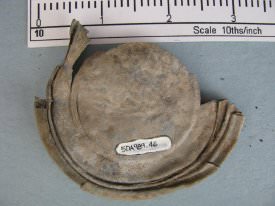 Zinc Jar Lid