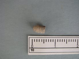 Bullet