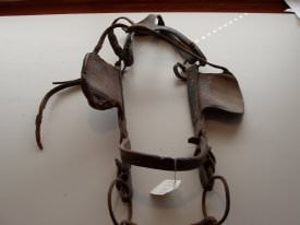 Halter