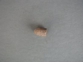 Bullet