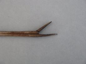 Closeup of Allegator Forceps