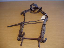 Head stall halter