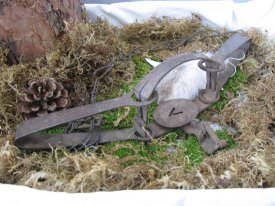 Trap, Foothold