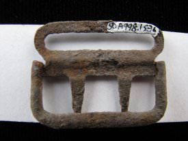 Buckle ID