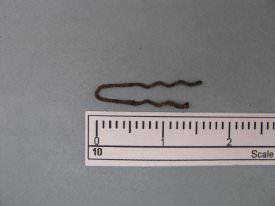 Woman's Hairpin