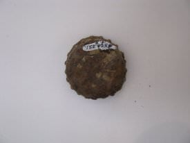 Cap, Bottle