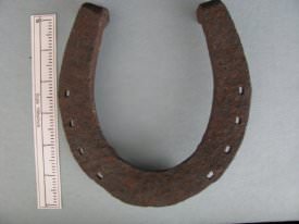 Horseshoe