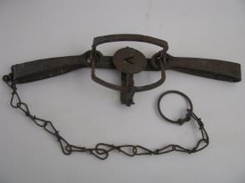 Small Victor Oneida Animal Trap