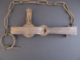 Small Game Trap