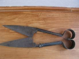 Sheep Shears