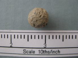 Musket Ball