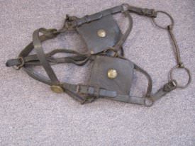 US Cavalry horse headstall